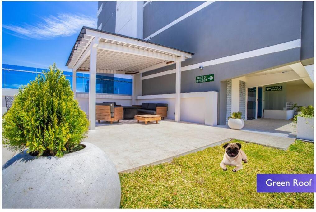 1102 Torre Los Yoses Hermoso Apartamento En Barrio Escalante Sin Parqueo San José Eksteriør billede