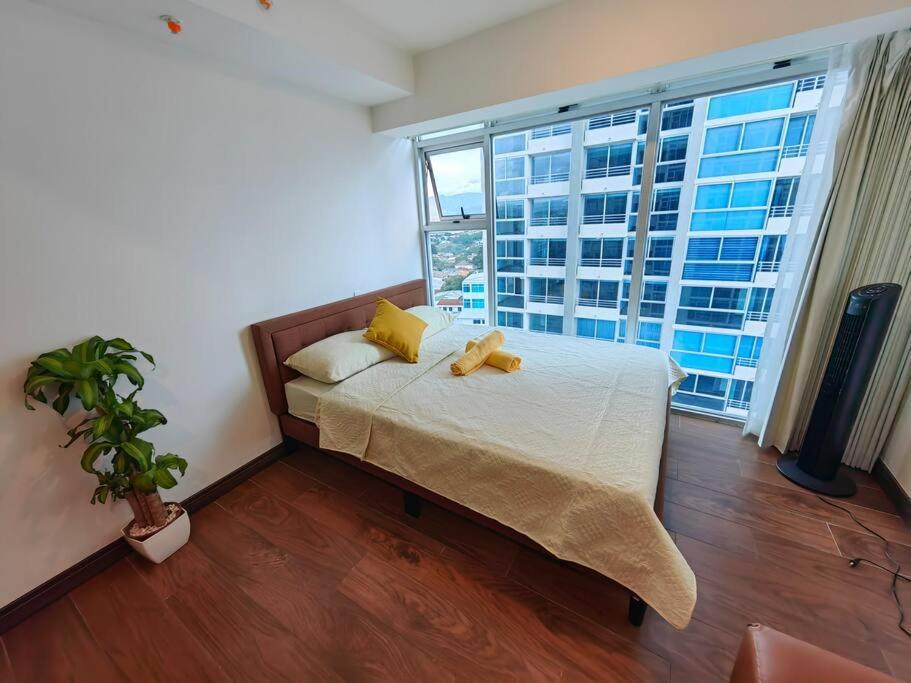 1102 Torre Los Yoses Hermoso Apartamento En Barrio Escalante Sin Parqueo San José Eksteriør billede