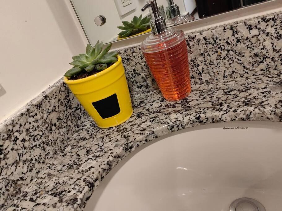 1102 Torre Los Yoses Hermoso Apartamento En Barrio Escalante Sin Parqueo San José Eksteriør billede